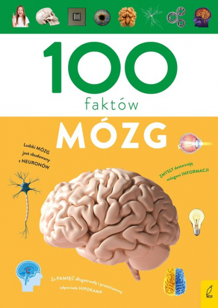100 faktów Mózg - Dominik Mukrecki | okładka