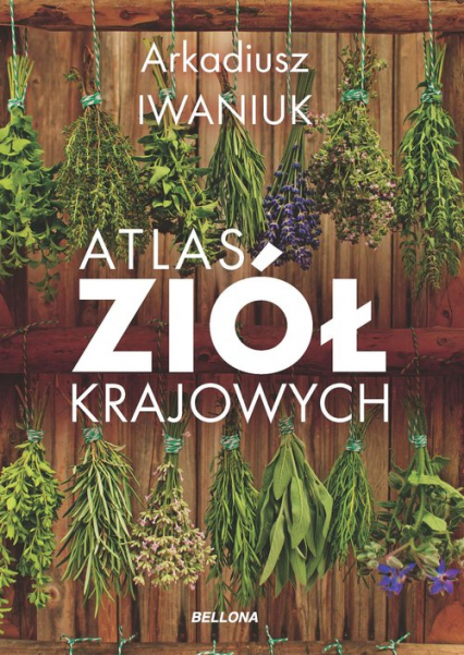 Atlas ziół krajowych - Arkadiusz Iwaniuk | okładka
