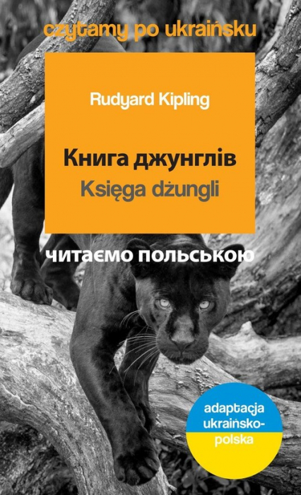 Księga dżungli Czytamy po ukraińsku adaptacja ukraińsko-polska - Kipling Rudyard | okładka