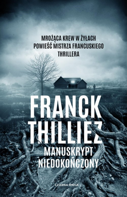 Manuskrypt niedokończony - Franck Thilliez | okładka