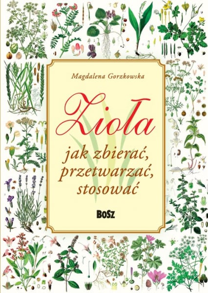 Zioła Jak zbierać, przetwarzać, stosować - Magdalena Gorzkowska | okładka