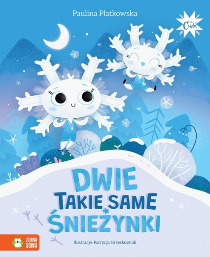Dwie takie same śnieżynki - Paulina Płatkowska | okładka