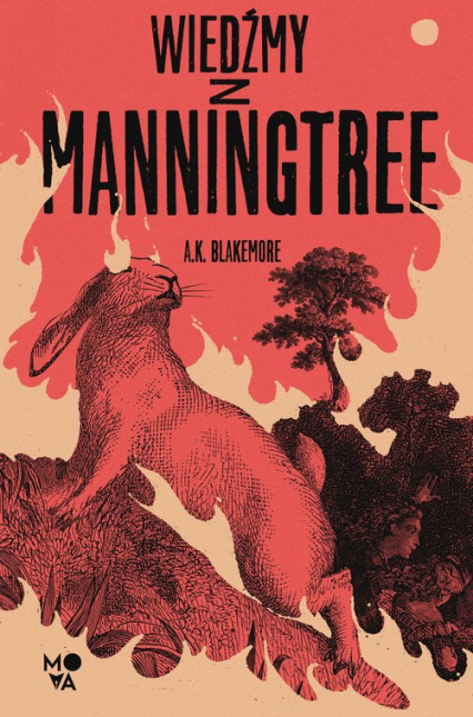 Wiedźmy z Manningtree - A.K. Blakemore | okładka