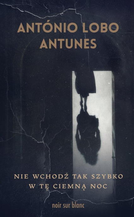 Nie wchodź tak szybko w tę ciemną noc - Antunes Antonio Lobo | okładka