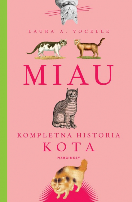 Miau Kompletna historia kota - Vocelle Laura A. | okładka