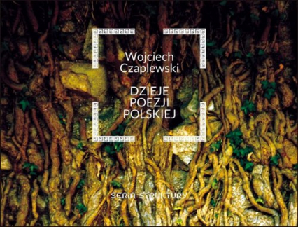 Dzieje poezji polskiej - Wojciech Czaplewski | okładka
