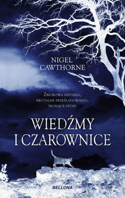 Wiedźmy i czarownice - Nigel Cawthorne | okładka