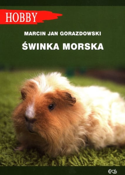 Świnka morska - Gorazdowski Marcin Jan | okładka