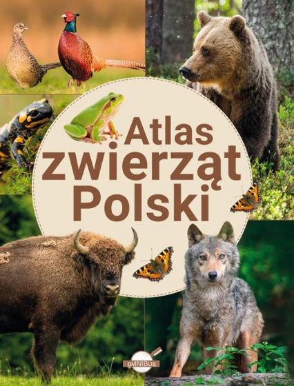 Atlas zwierząt Polski - Opracowanie Zbiorowe | okładka