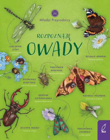 Młodzi przyrodnicy Rozpoznaję owady - Patrycja Zarawska | okładka