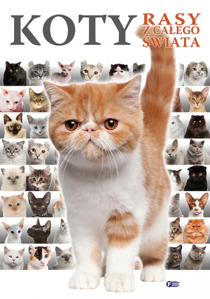 Koty Rasy z całego świata - Opracowanie Zbiorowe | okładka