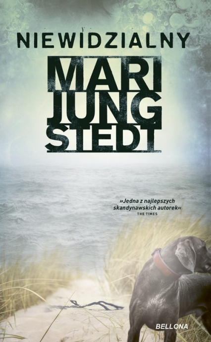 Niewidzialny - Jungstedt Mari | okładka