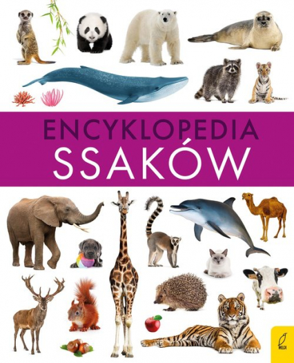 Encyklopedia ssaków - Paweł Zalewski | okładka