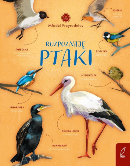 Młodzi przyrodnicy Rozpoznaję ptaki - Patrycja Zarawska | okładka