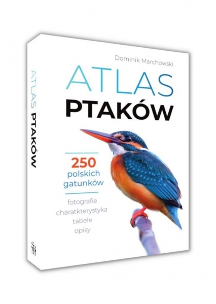 Atlas ptaków
 - Dominik Marchowski | okładka
