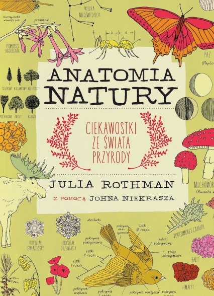 Anatomia natury
 - Julia Rothman | okładka