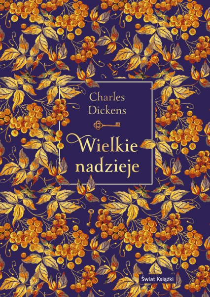 Wielkie nadzieje elegancka edycja - Charles Dickens | okładka