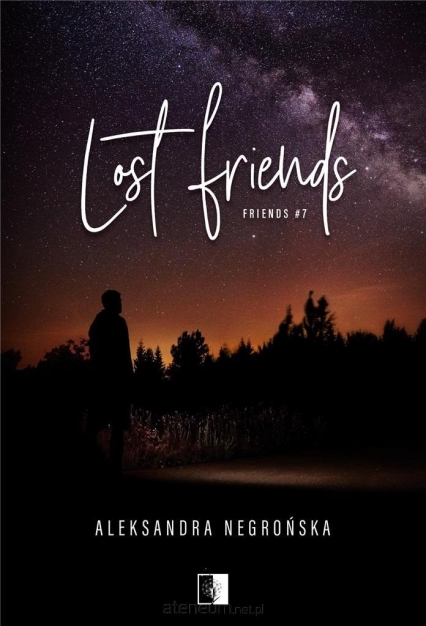 Lost Friends t.7 - Aleksandra Negrońska | okładka