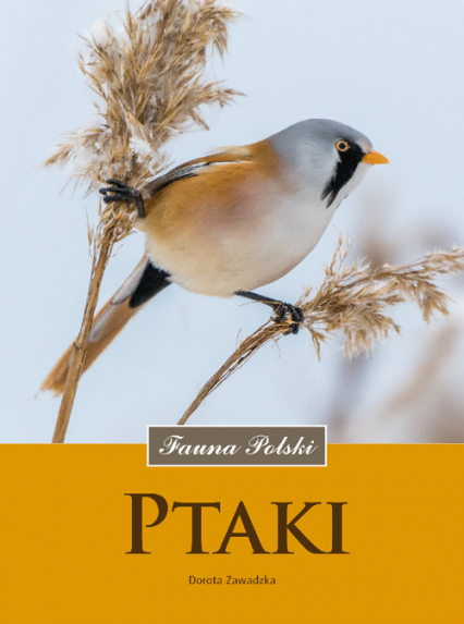 Ptaki Fauna Polski - Dorota Zawadzka | okładka