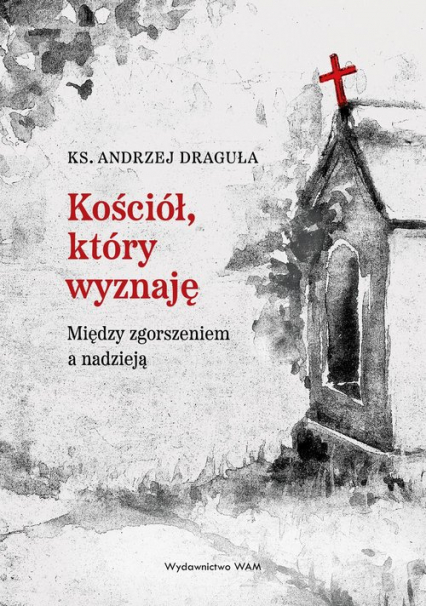 Kościół który wyznaję Między zgorszeniem a nadzieją - Andrzej Draguła | okładka