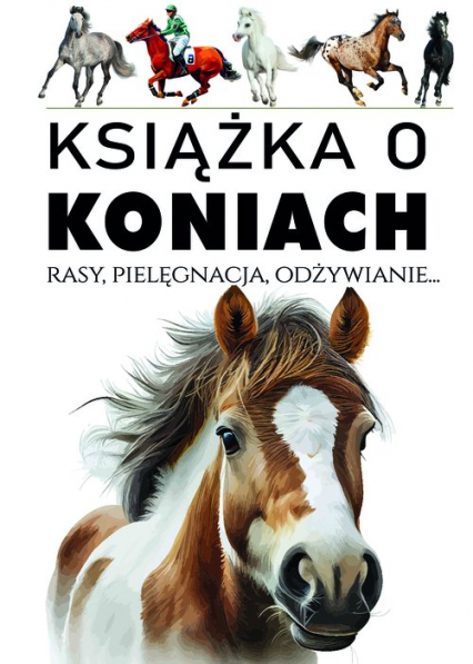 Książka o koniach Rasy, pielęgnacja, odżywianie... - Joanna Werner | okładka