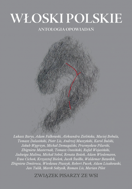 Włoski polskie Antologia opowiadań - Praca zbiorowa | okładka