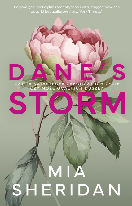 Dane's Storm -  | okładka