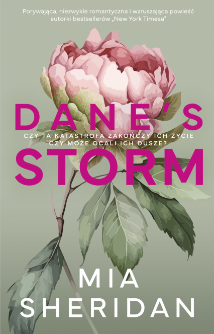 Dane's Storm - Mia Sheridan | okładka