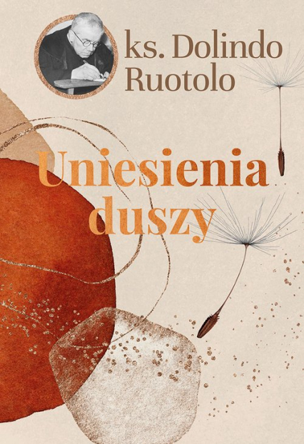 Uniesienia duszy - Dolindo Ruotolo | okładka