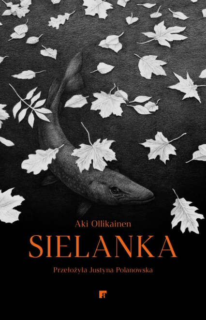 Sielanka - Aki Ollikainen | okładka