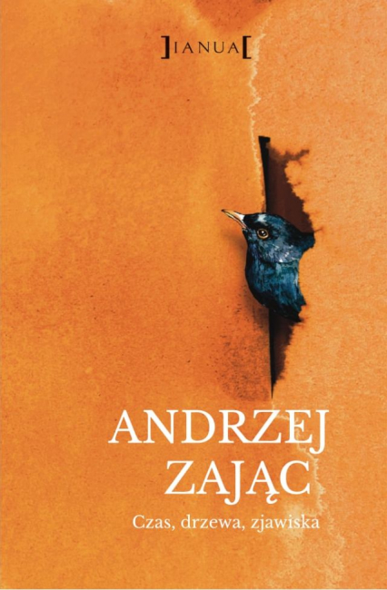 Czas, drzewa, zjawiska - Andrzej Zając | okładka