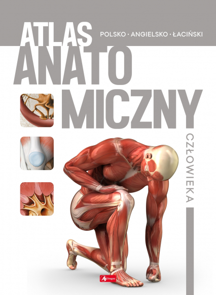 Atlas anatomiczny człowieka - Opracowanie Zbiorowe | okładka