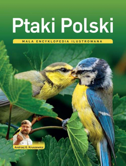 Ptaki polski mała encyklopedia ilustrowana - Andrzej Kruszewicz | okładka