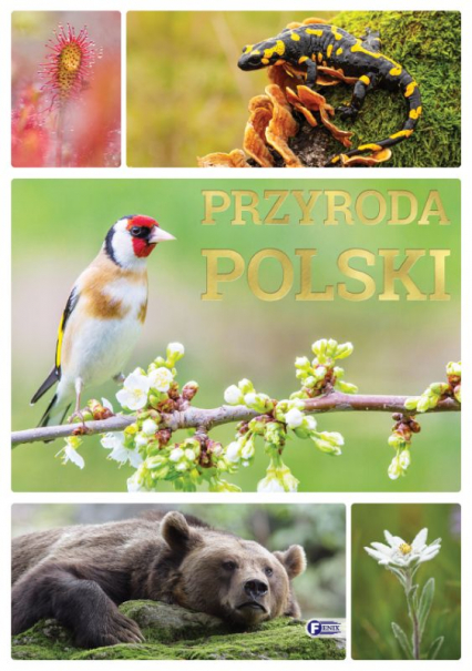 Przyroda Polski - Opracowanie Zbiorowe | okładka