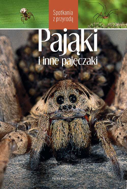 Pająki i inne pajęczaki. Spotkania z przyrodą - Heiko Bellmann | okładka