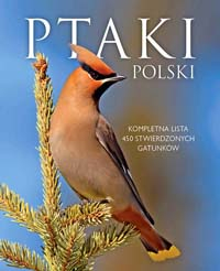 Ptaki polski - Dominik Marchowski | okładka
