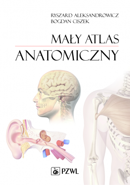 Mały atlas anatomiczny -  | okładka