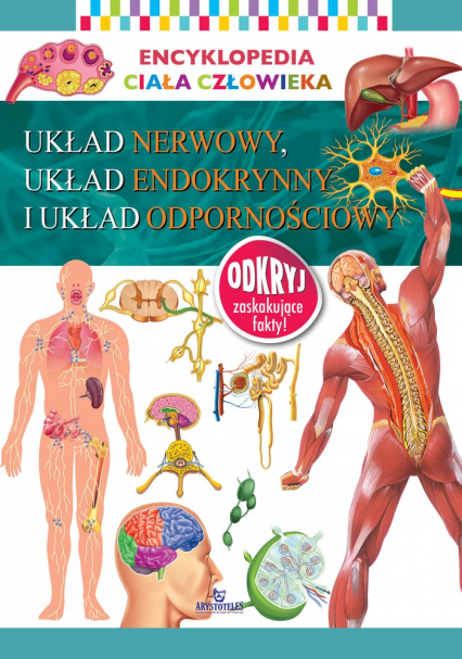Układ nerwowy układ endokrynny i układ odpornościowy. Encyklopedia ciała człowieka - Opracowanie Zbiorowe | okładka
