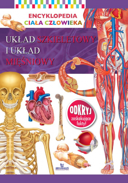 Układ szkieletowy i układ mięśniowy. Encyklopedia ciała człowieka - Opracowanie Zbiorowe | okładka