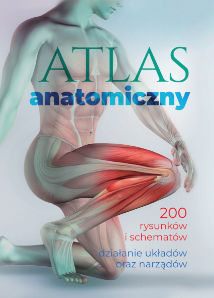 Atlas anatomiczny - Justyna Mazurek | okładka