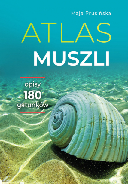Atlas muszli - Maja Prusińska | okładka