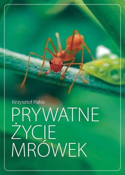 Prywatne życie mrówek - Krzysztof Pabis | okładka