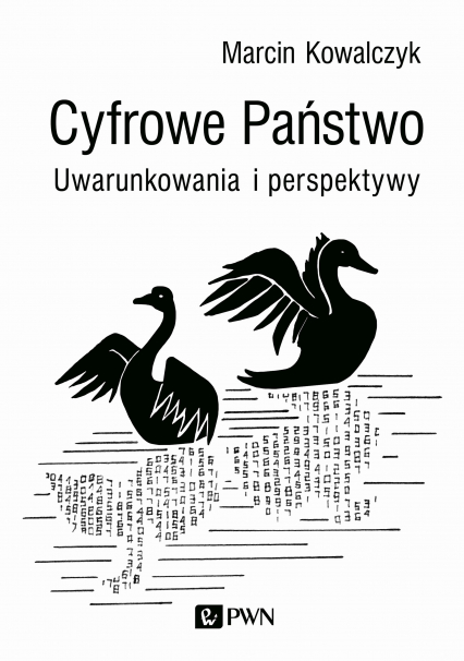 Cyfrowe państwo uwarunkowania i perspektywy - Marcin  Kowalczyk | okładka