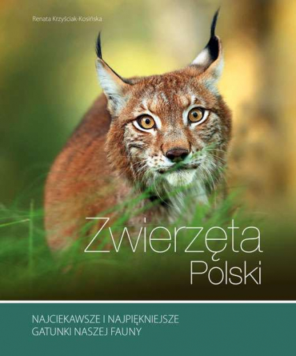 Zwierzęta polski - Kosińska Renata | okładka