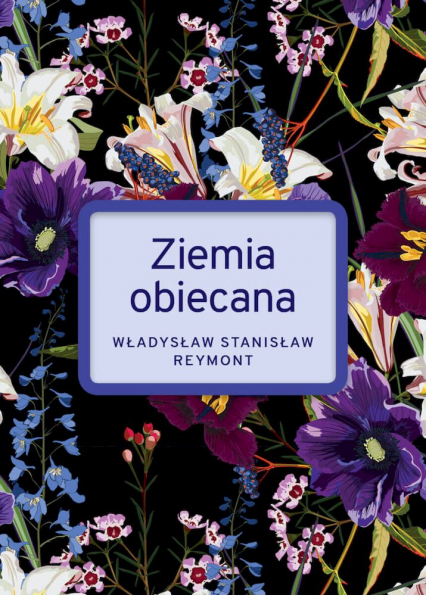Ziemia Obiecana wyd. specjalne - Reymont Stanisław Władysław | okładka