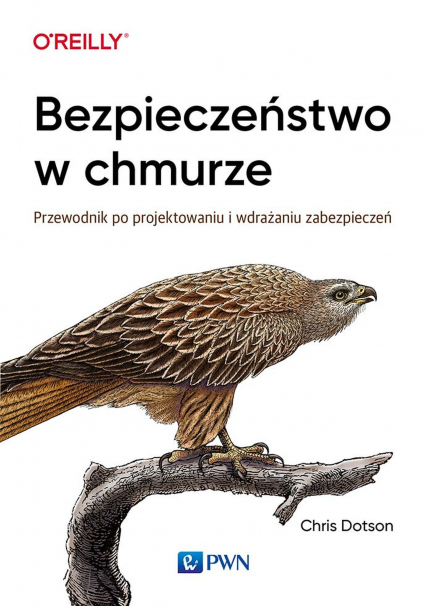 Bezpieczeństwo w chmurze przewodnik po projektowaniu i wdrażaniu zabezpieczeń -  | okładka