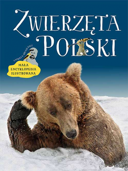 Zwierzęta Polski. Mała encyklopedia ilustrowana - Andrzej Kruszewicz | okładka