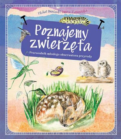 Poznajemy zwierzęta przewodnik młodego obserwatora przyrody - Michał Brodacki | okładka