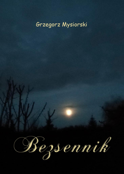 Bezsennik - Grzegorz Mysiorski | okładka