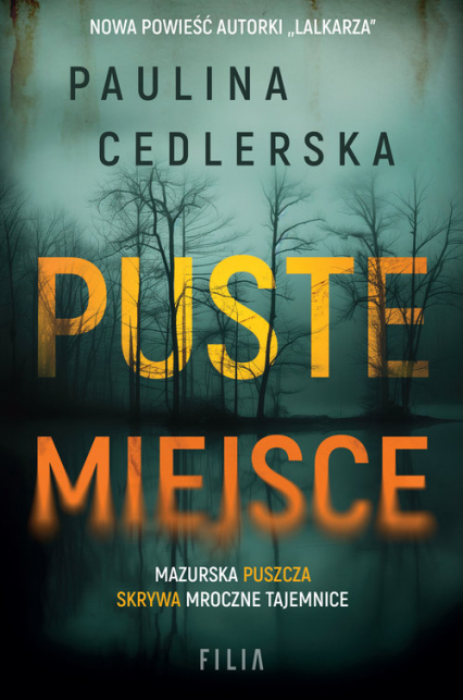 Puste miejsce Wielkie Litery - Paulina Cedlerska | okładka